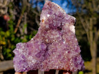 Natural Amethyst Clusters x 35 From Madagascar - Toprock Gemstones and Minerals 
