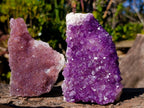 Natural Amethyst Clusters x 35 From Madagascar - Toprock Gemstones and Minerals 