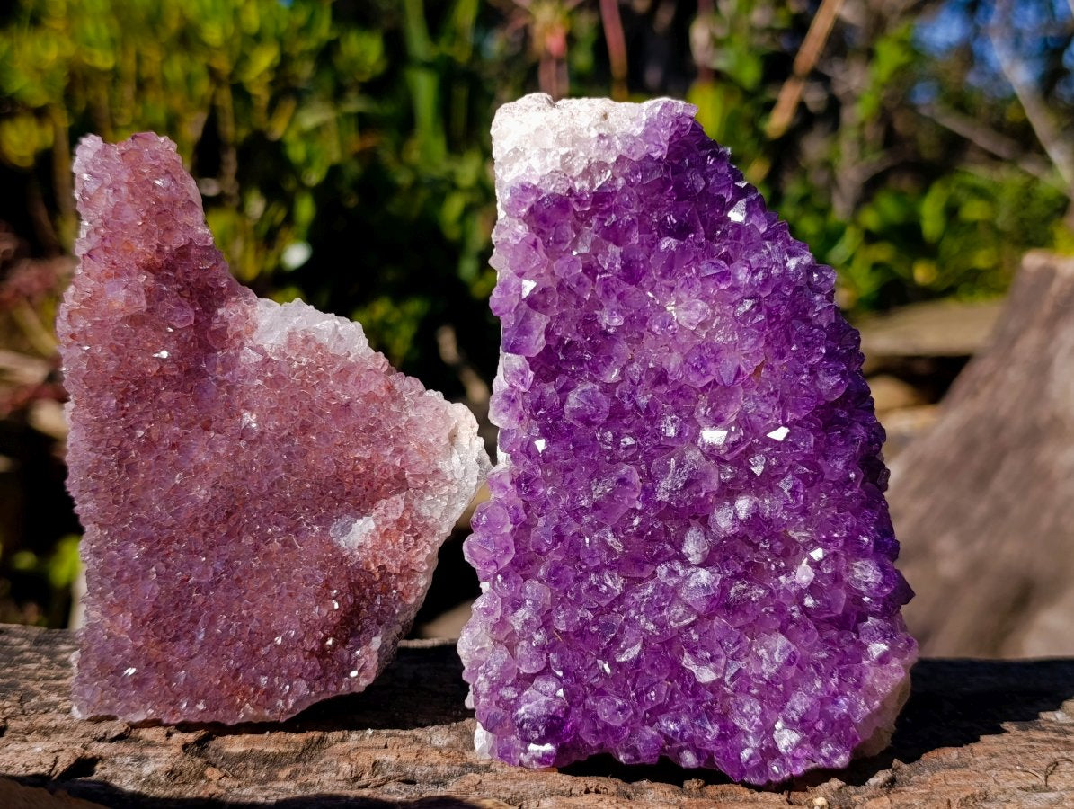 Natural Amethyst Clusters x 35 From Madagascar - Toprock Gemstones and Minerals 