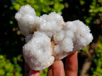 Natural Drusy Snow White Quartz Clusters x 12 From Madagascar - Toprock Gemstones and Minerals 