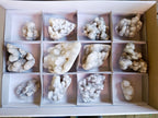 Natural Drusy Snow White Quartz Clusters x 12 From Madagascar - Toprock Gemstones and Minerals 