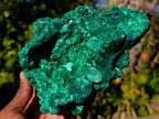 Natural Silky Malachite Specimens x 2 From Kasompe, Congo - Toprock Gemstones and Minerals 