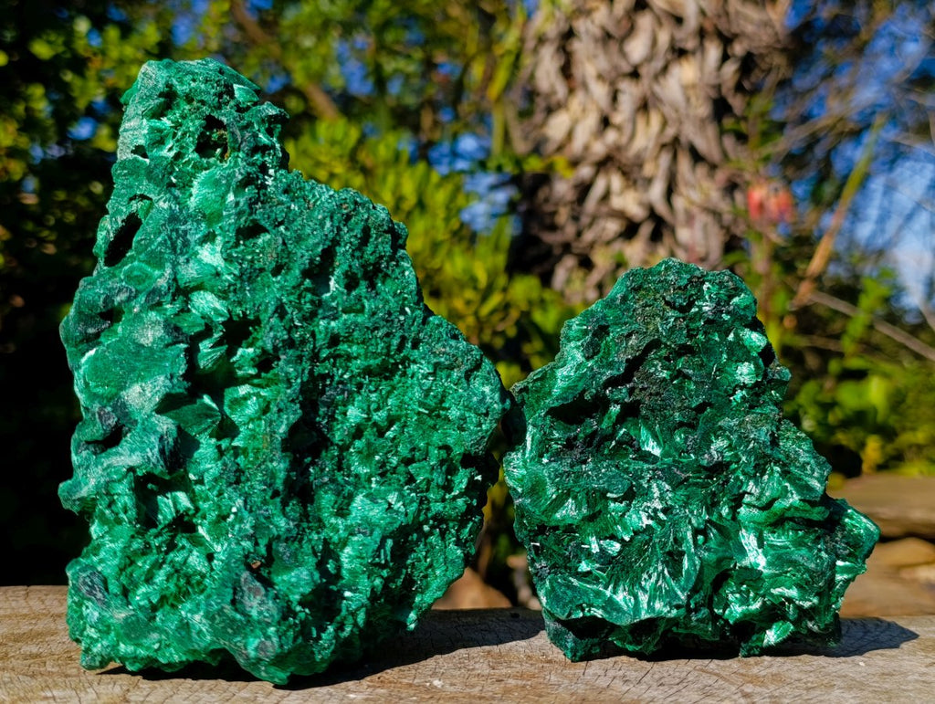 Natural Silky Malachite Specimens x 2 From Kasompe, Congo - Toprock Gemstones and Minerals 