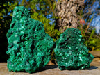 Natural Silky Malachite Specimens x 2 From Kasompe, Congo - Toprock Gemstones and Minerals 