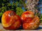 Polished Carnelian Agate Gemstone Hearts x 3 From Madagascar - Toprock Gemstones and Minerals 