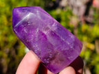 Polished Window Amethyst Display Crystals x 6 From Akansobe, Madagascar - Toprock Gemstones and Minerals 