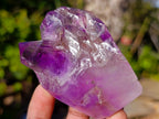 Polished Window Amethyst Display Crystals x 6 From Akansobe, Madagascar - Toprock Gemstones and Minerals 