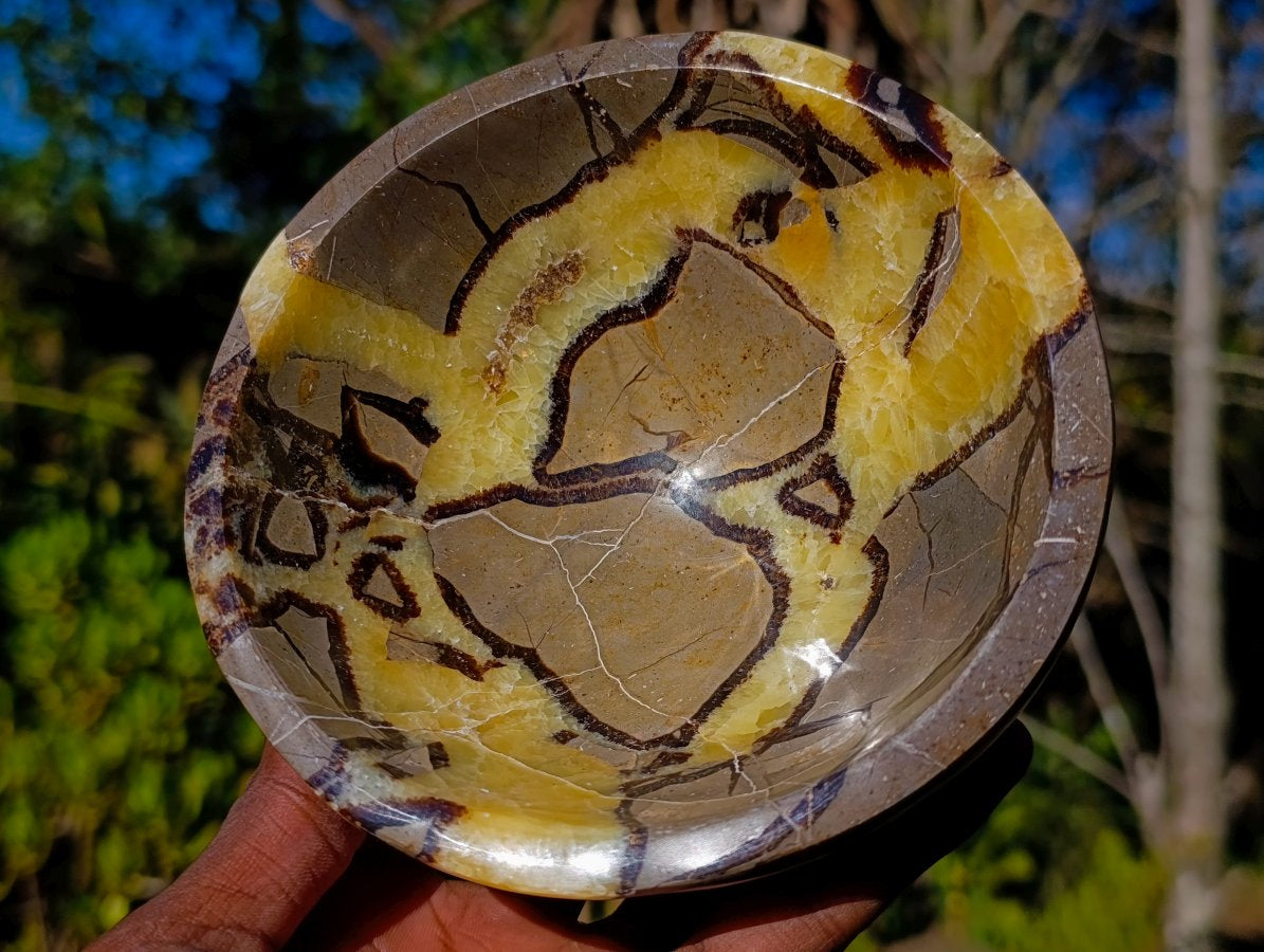 Polished Septerye Bowls x 2 From Mahajanga, Madagascar - Toprock Gemstones and Minerals 