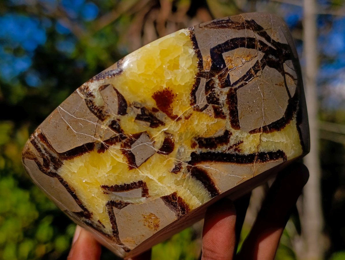 Polished Septerye Bowls x 2 From Mahajanga, Madagascar - Toprock Gemstones and Minerals 