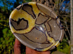 Polished Septerye Bowls x 2 From Mahajanga, Madagascar - Toprock Gemstones and Minerals 