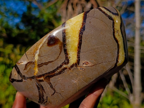 Polished Septerye Bowls x 2 From Mahajanga, Madagascar - Toprock Gemstones and Minerals 