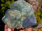 Natural Green Cubic Fluorite Specimens x 6 From Mandrosonoro, Madagascar - Toprock Gemstones and Minerals 