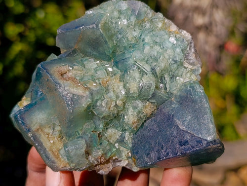 Natural Green Cubic Fluorite Specimens x 6 From Mandrosonoro, Madagascar - Toprock Gemstones and Minerals 