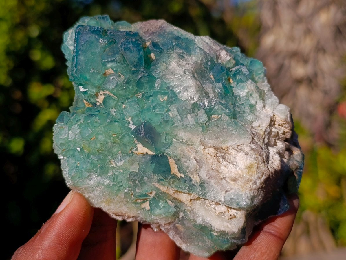 Natural Green Cubic Fluorite Specimens x 6 From Mandrosonoro, Madagascar - Toprock Gemstones and Minerals 