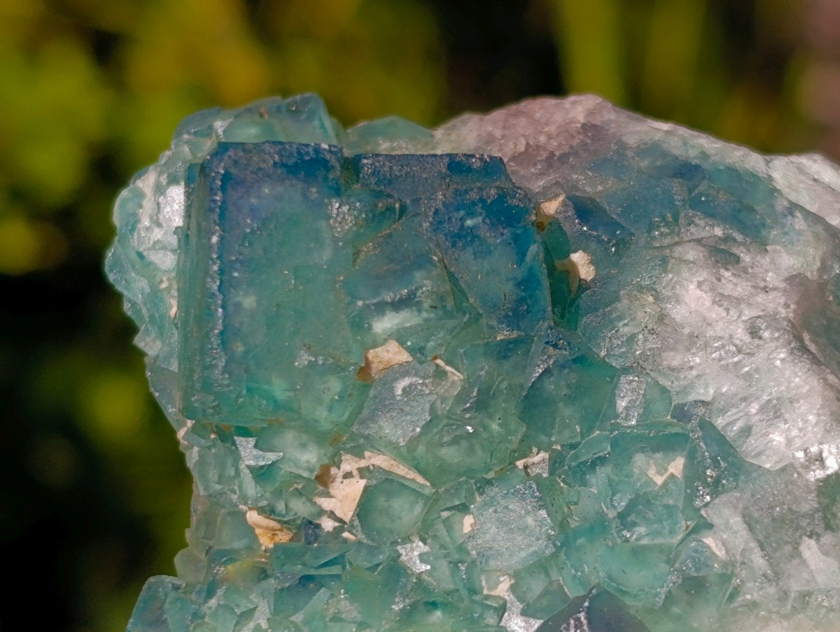 Natural Green Cubic Fluorite Specimens x 6 From Mandrosonoro, Madagascar - Toprock Gemstones and Minerals 