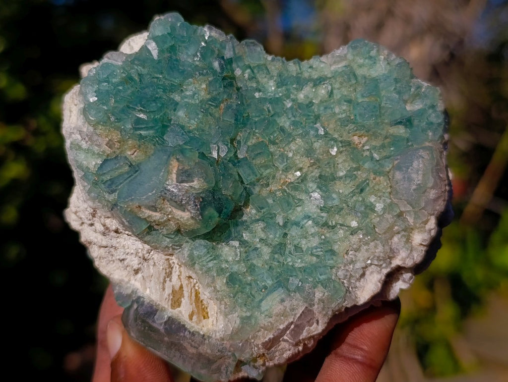 Natural Green Cubic Fluorite Specimens x 6 From Mandrosonoro, Madagascar - Toprock Gemstones and Minerals 