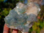 Natural Green Cubic Fluorite Specimens x 6 From Mandrosonoro, Madagascar - Toprock Gemstones and Minerals 