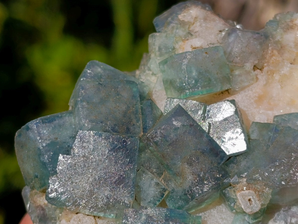 Natural Green Cubic Fluorite Specimens x 6 From Mandrosonoro, Madagascar - Toprock Gemstones and Minerals 