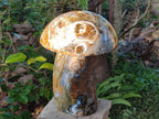 Polished XL Ocean Jasper Mushroom with Hematite x 1 From Northwest Coast, Madagascar - Toprock Gemstones and Minerals 