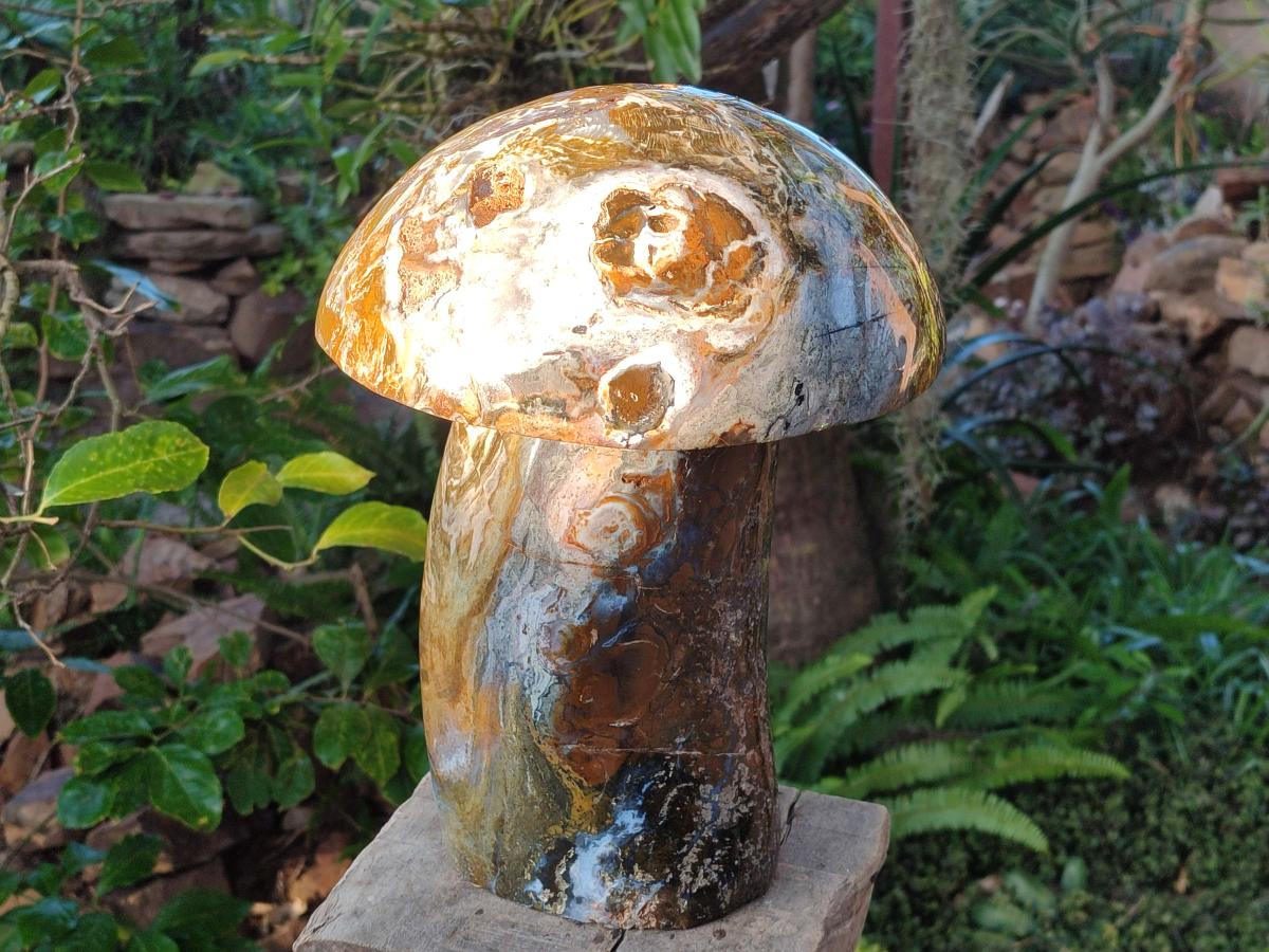 Polished XL Ocean Jasper Mushroom with Hematite x 1 From Northwest Coast, Madagascar - Toprock Gemstones and Minerals 