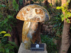 Polished XL Ocean Jasper Mushroom with Hematite x 1 From Northwest Coast, Madagascar - Toprock Gemstones and Minerals 