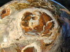 Polished XL Ocean Jasper Mushroom with Hematite x 1 From Northwest Coast, Madagascar - Toprock Gemstones and Minerals 