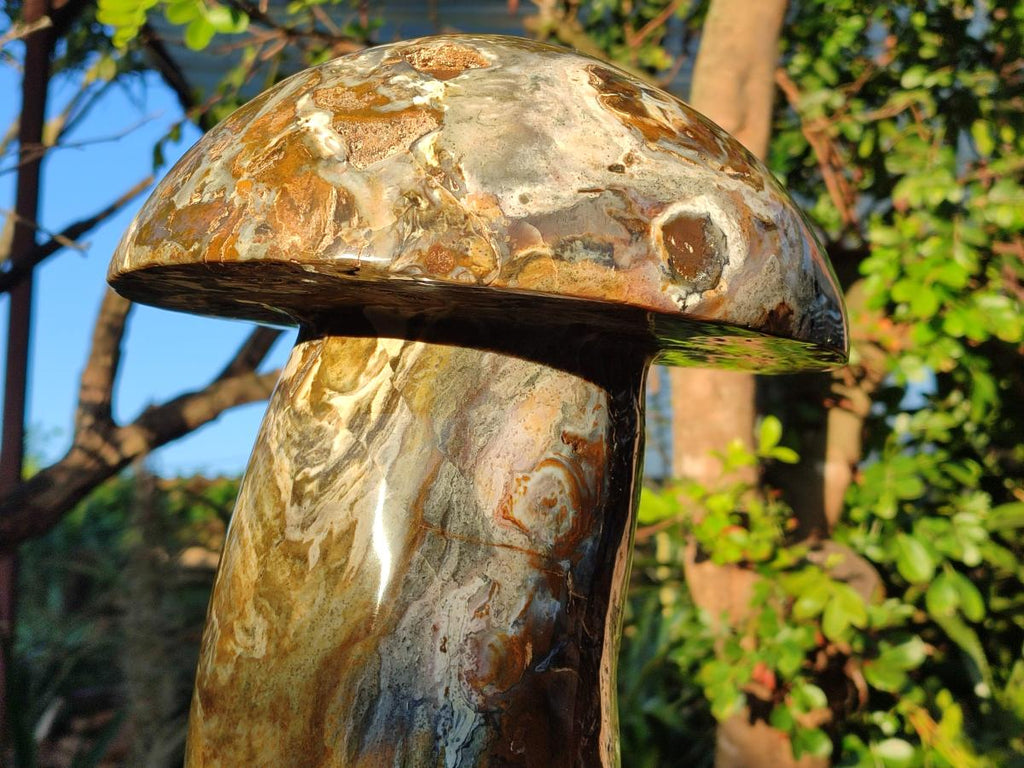 Polished XL Ocean Jasper Mushroom with Hematite x 1 From Northwest Coast, Madagascar - Toprock Gemstones and Minerals 