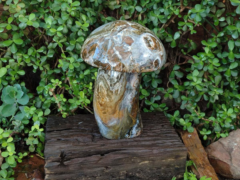 Polished XL Ocean Jasper Mushroom with Hematite x 1 From Northwest Coast, Madagascar - Toprock Gemstones and Minerals 