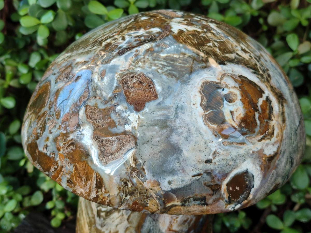 Polished XL Ocean Jasper Mushroom with Hematite x 1 From Northwest Coast, Madagascar - Toprock Gemstones and Minerals 