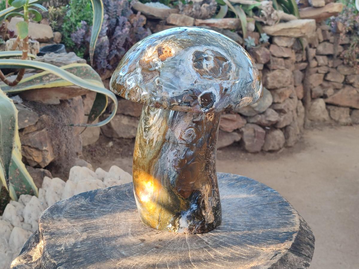 Polished XL Ocean Jasper Mushroom with Hematite x 1 From Northwest Coast, Madagascar - Toprock Gemstones and Minerals 