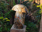 Polished XL Ocean Jasper Mushroom with Hematite x 1 From Northwest Coast, Madagascar - Toprock Gemstones and Minerals 