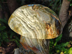 Polished XL Ocean Jasper Mushroom with Hematite x 1 From Northwest Coast, Madagascar - Toprock Gemstones and Minerals 