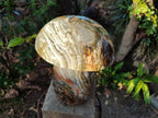 Polished XL Ocean Jasper Mushroom with Hematite x 1 From Northwest Coast, Madagascar - Toprock Gemstones and Minerals 