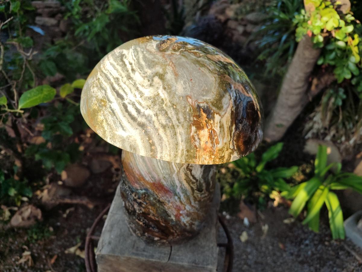 Polished XL Ocean Jasper Mushroom with Hematite x 1 From Northwest Coast, Madagascar - Toprock Gemstones and Minerals 