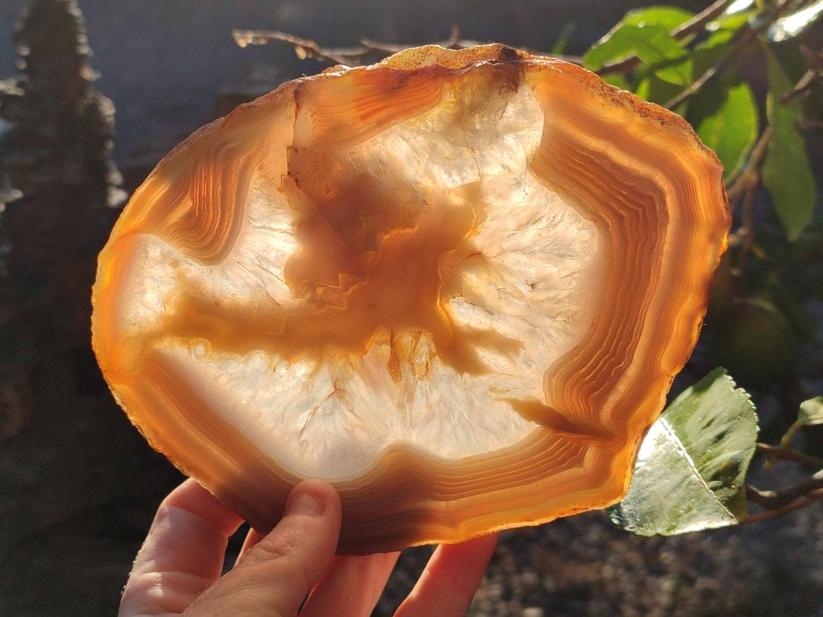 Polished XL Banded Agate Slices with Natural Edging x 4 From Madagascar - Toprock Gemstones and Minerals 