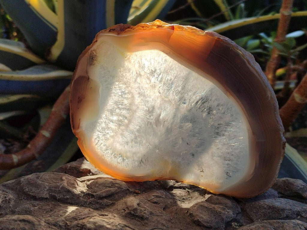 Polished XL Banded Agate Slices with Natural Edging x 4 From Madagascar - Toprock Gemstones and Minerals 