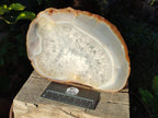 Polished XL Banded Agate Slices with Natural Edging x 4 From Madagascar - Toprock Gemstones and Minerals 