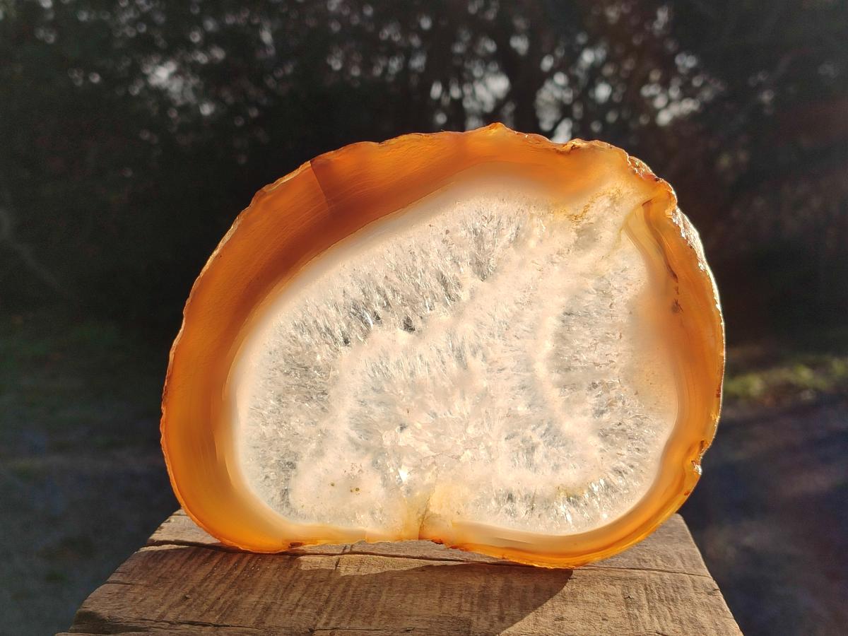 Polished XL Banded Agate Slices with Natural Edging x 4 From Madagascar - Toprock Gemstones and Minerals 