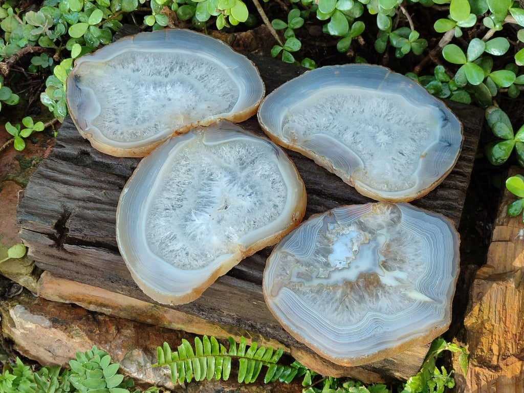 Polished XL Banded Agate Slices with Natural Edging x 4 From Madagascar - Toprock Gemstones and Minerals 