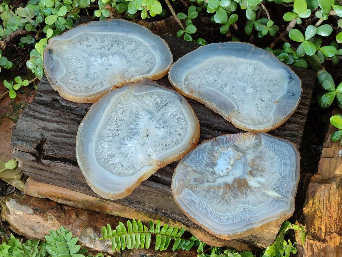 Polished XL Banded Agate Slices with Natural Edging x 4 From Madagascar - Toprock Gemstones and Minerals 
