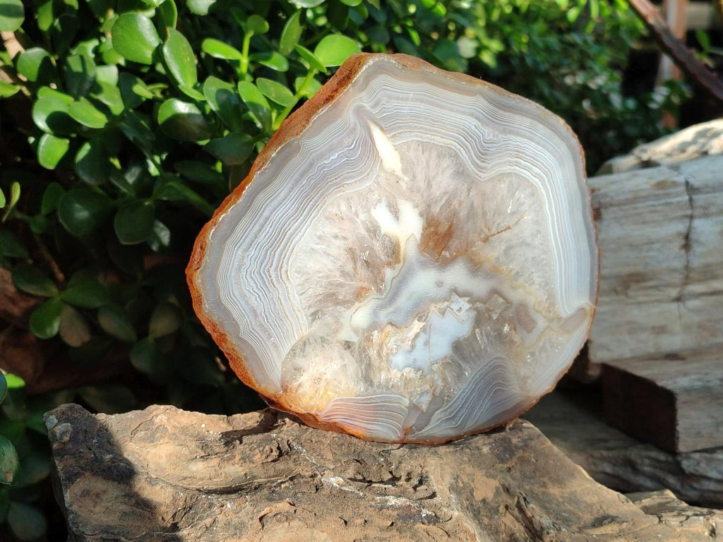 Polished XL Banded Agate Slices with Natural Edging x 4 From Madagascar - Toprock Gemstones and Minerals 