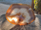 Polished XL Banded Agate Slices with Natural Edging x 4 From Madagascar - Toprock Gemstones and Minerals 