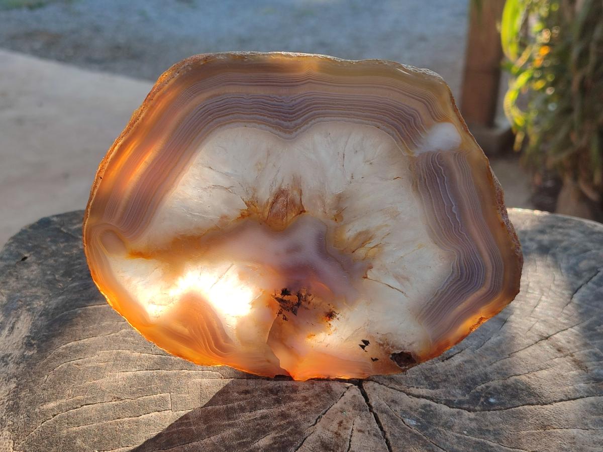 Polished XL Banded Agate Slices with Natural Edging x 4 From Madagascar - Toprock Gemstones and Minerals 
