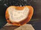 Polished XL Banded Agate Slices with Natural Edging x 4 From Madagascar - Toprock Gemstones and Minerals 