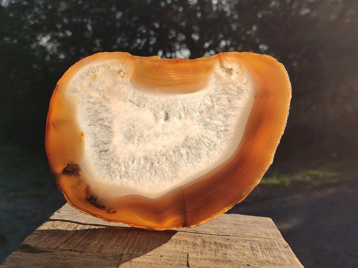 Polished XL Banded Agate Slices with Natural Edging x 4 From Madagascar - Toprock Gemstones and Minerals 
