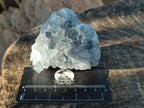 Natural Blue Celestite Specimens x 25 From Sakoany, Madagascar - Toprock Gemstones and Minerals 
