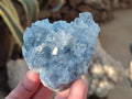 Natural Blue Celestite Specimens x 25 From Sakoany, Madagascar - Toprock Gemstones and Minerals 