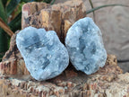 Natural Blue Celestite Specimens x 25 From Sakoany, Madagascar - Toprock Gemstones and Minerals 