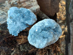 Natural Blue Celestite Specimens x 25 From Sakoany, Madagascar - Toprock Gemstones and Minerals 