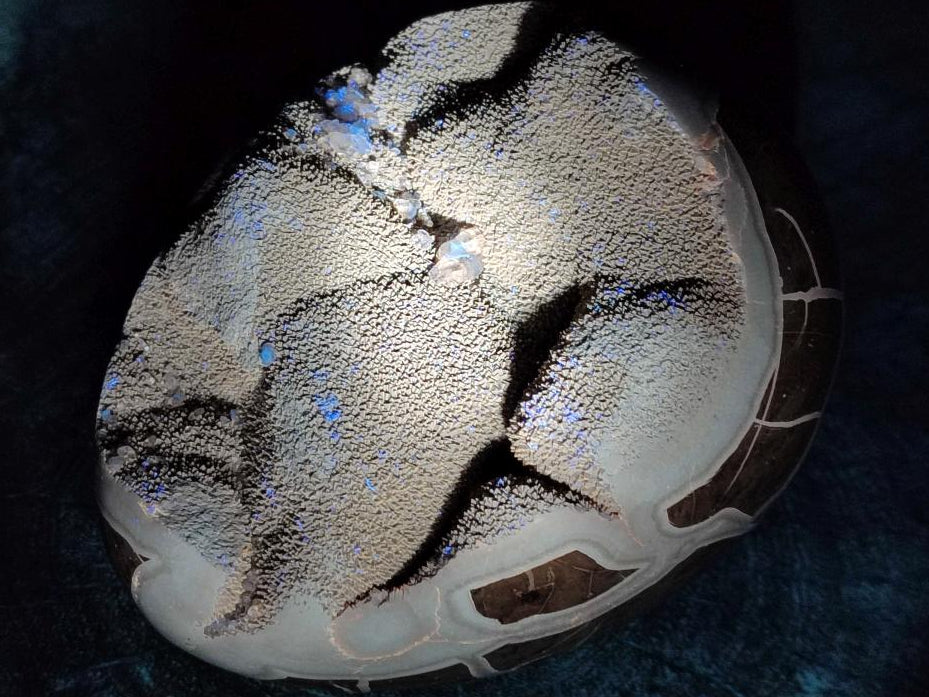 Polished Septerye Sauvage "Dragons Egg" Geodes x 2 From Mahajanga, Madagascar - Toprock Gemstones and Minerals 